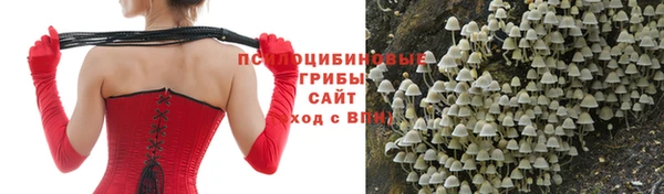 apvp Михайловка