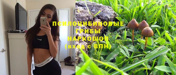 метадон Медвежьегорск