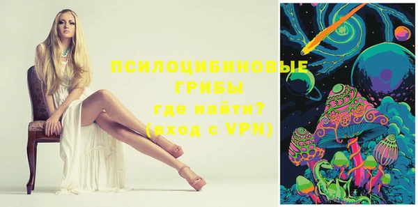 метадон Медвежьегорск