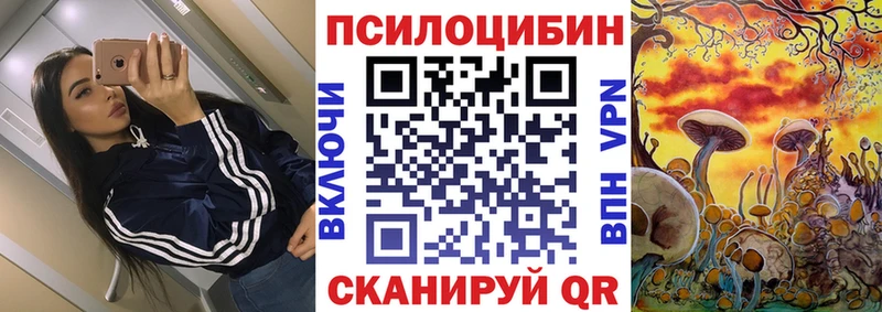 Галлюциногенные грибы MAGIC MUSHROOMS закладки Отрадный